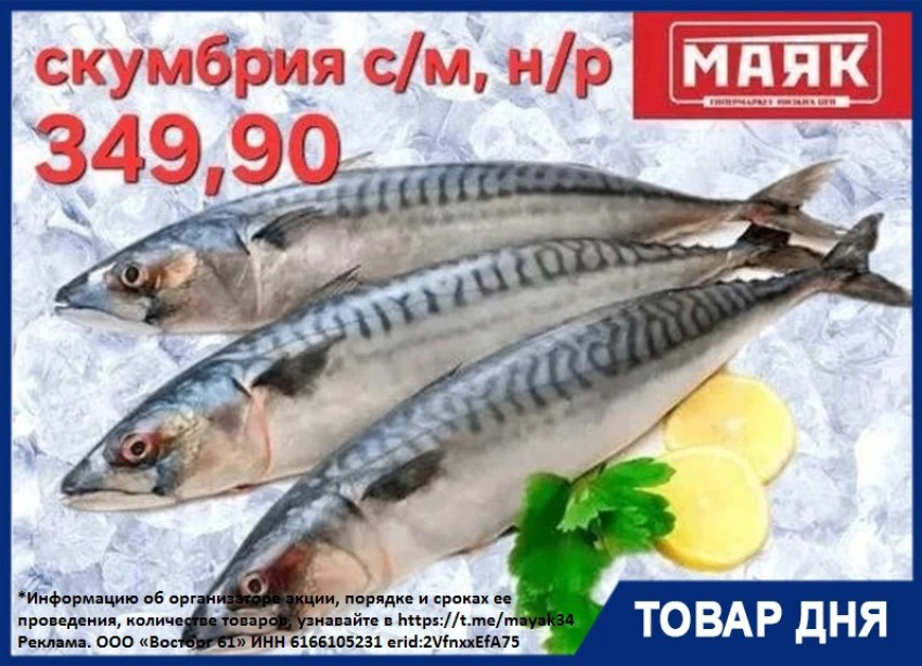 Скумбрия свежемороженая неразделанная 349.90 руб/кг в «Маяке»  на Пролетарской