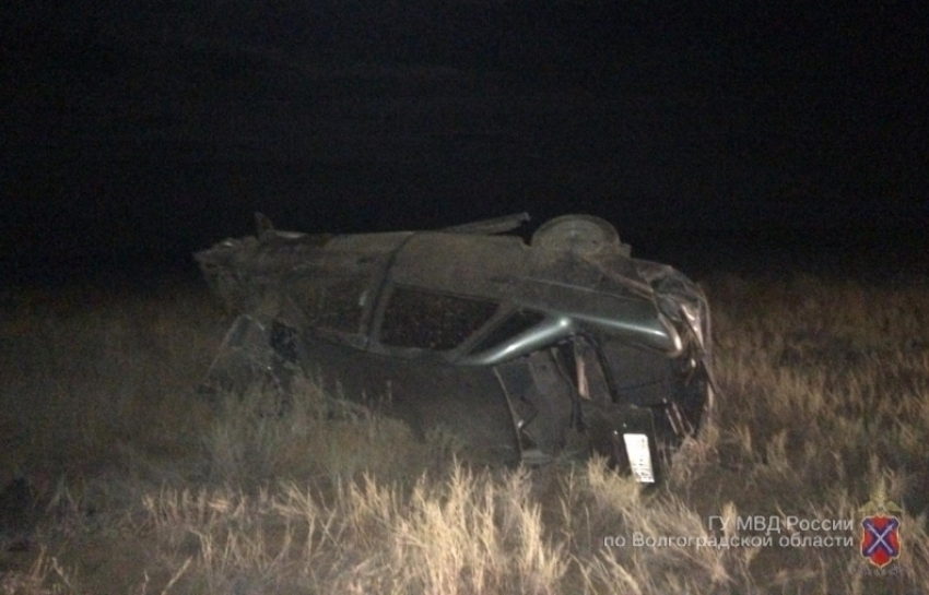 Под Волгоградом водитель на «Приоре» сбил лошадь: двое в больнице