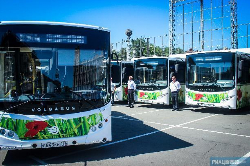 Автобусы Волгограда перевезли с начала года целую Германию