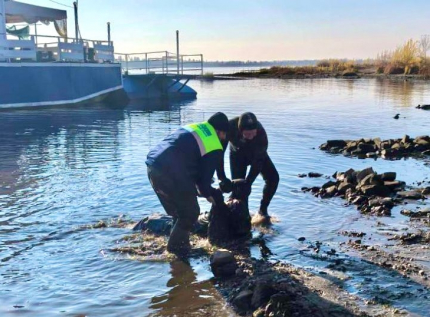 Второго утопленника нашли в Волге в центре Волгограда
