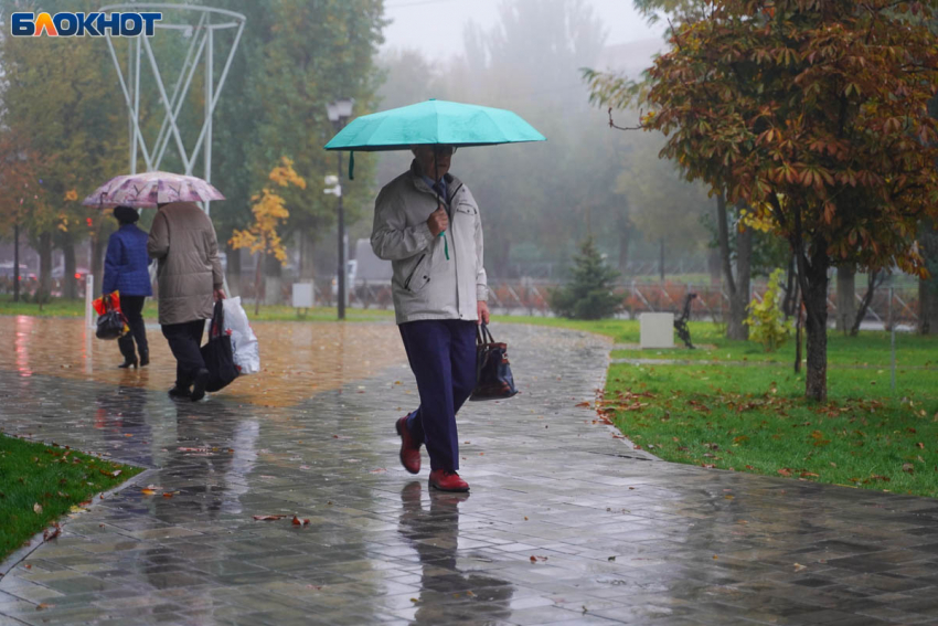 Пасмурно и дождь: синоптики о погоде на 1 ноября в Волгограде
