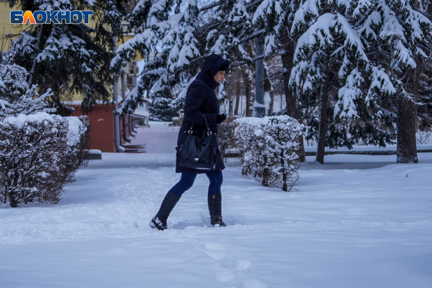 Тепло и снег с дождём: погода в Волгограде и области на 2 февраля