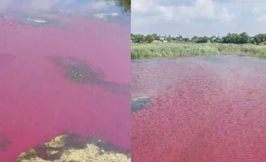 Тайну красной воды в волгоградской реке объяснили ученые