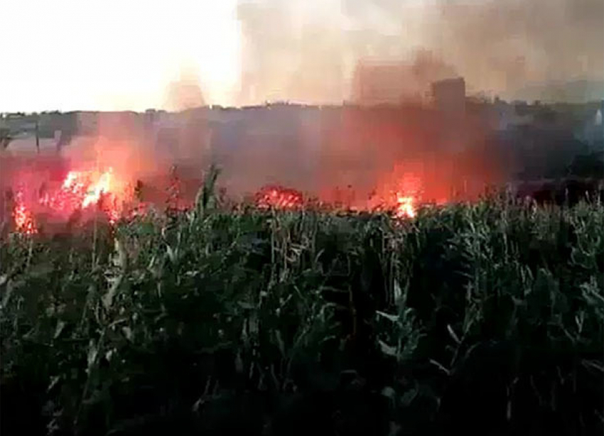 Пожар в Советском районе Волгограда попал на видео