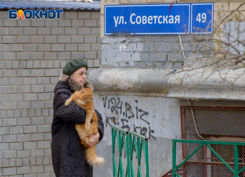 К 40 тысячам зараженных COVID-19 подбирается Волгоградская область: данные на 4 января 