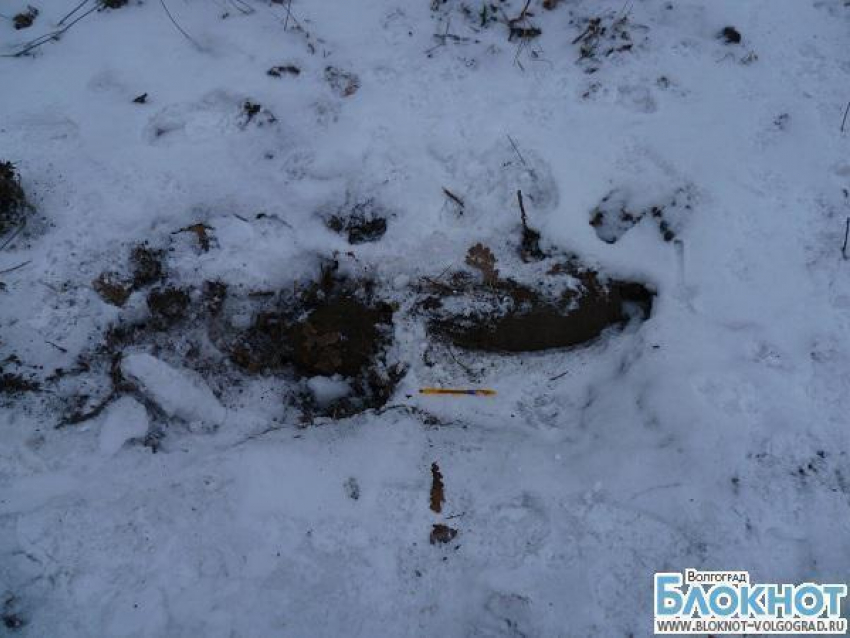 Под Волгоградом нашли фугасную авиабомбу