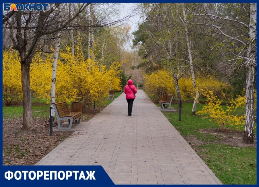 Как цветет Волгоград во время капризов апрельской погоды