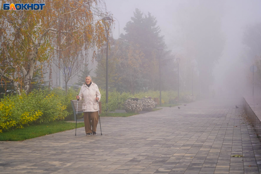 «Доживает последние деньки»: аномальное тепло уходит из Волгограда