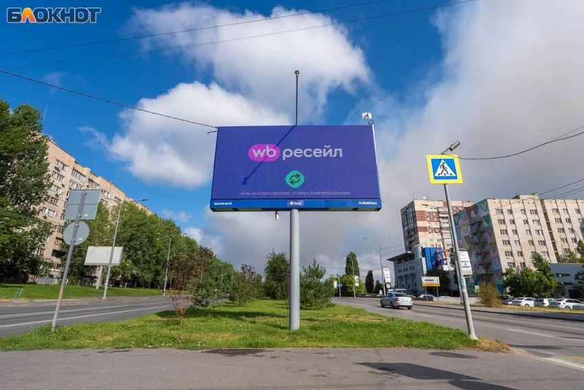 Предприниматели из Волгограда ищут альтернативы Ozon и Wildberries
