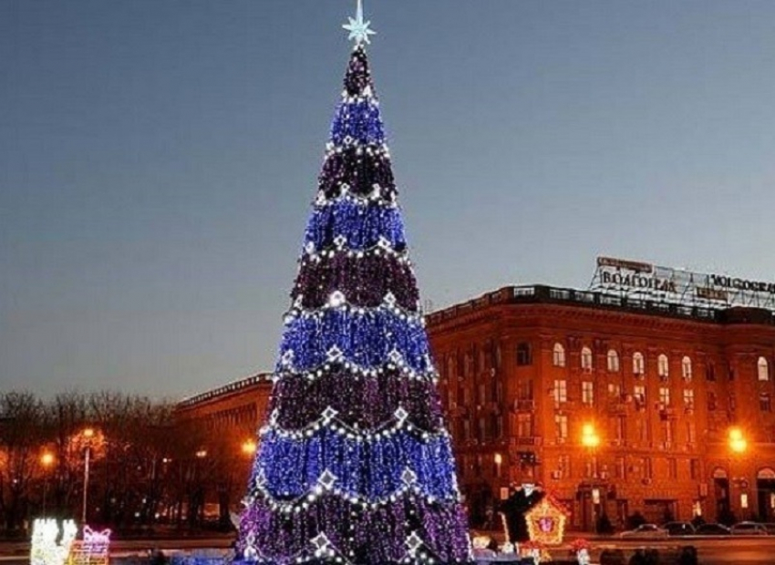Волгоградцам рассказали, сколько елок будет в городе к Новому году
