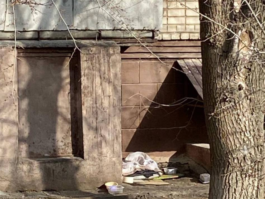 Перестать прикармливать бездомных животных требуют в Волгограде