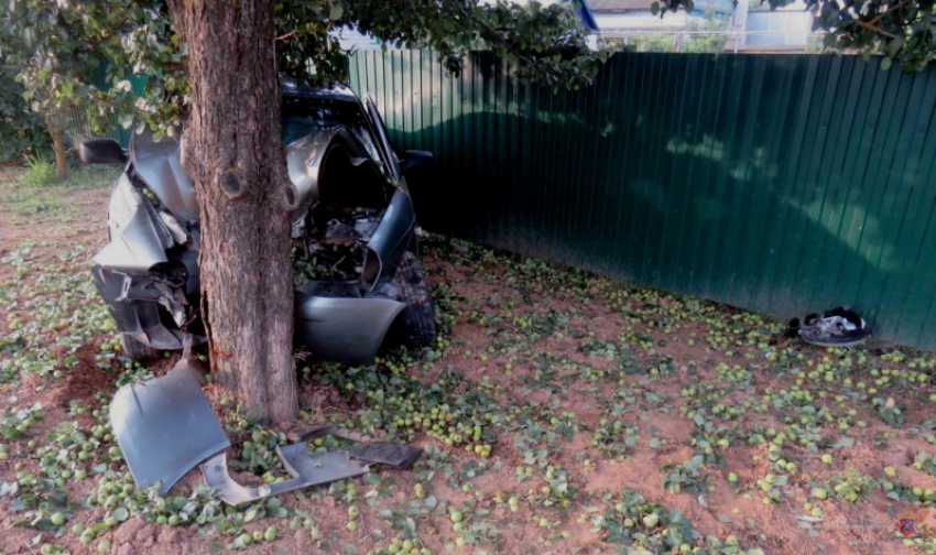 19-летний водитель «Лады» вписался в дерево под Волгоградом и попал в больницу