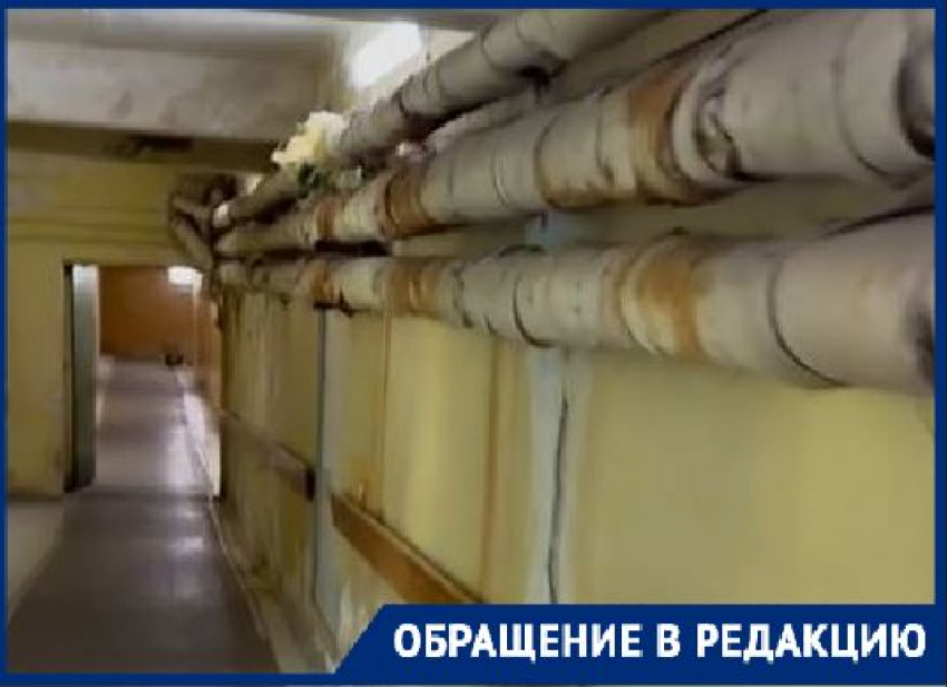 «Стыд и позор»: волгоградский облздрав объяснился за состояние детской больницы №8