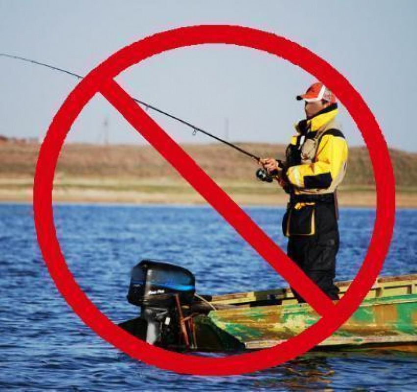 В Волгоградской области в 7 районах запретили охоту и рыбалку