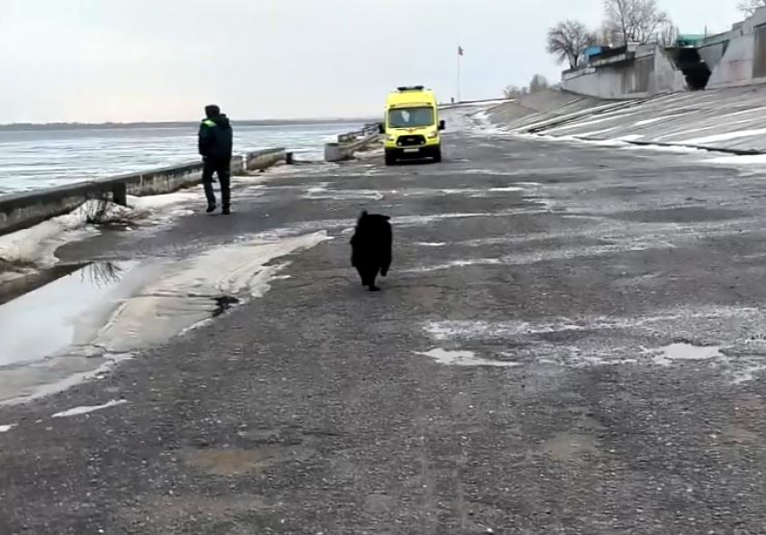 Упавшую с волгоградского моста 17-летнюю перевели из реанимации