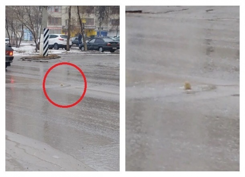 «Святой источник» ударил из проезжей части на севере Волгограда