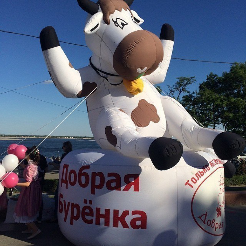 Волгоградцев бесплатно угостили лучшим молоком