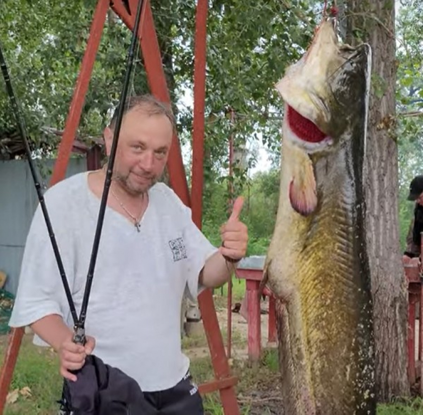 Московский рыбак-блогер поймал 50-килограммового сома-гиганта в Ахтубе