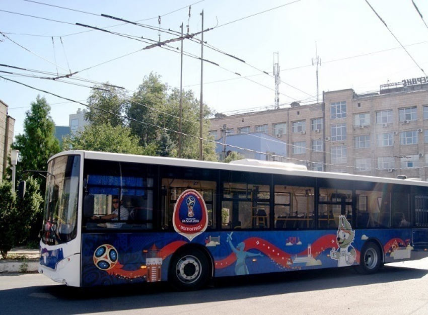 Десять новых больших автобусов выйдут на маршрут № 59 в Волгограде