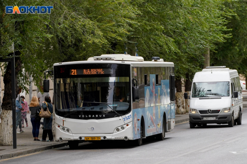 Волгоград работа транспорта. Общественный транспорт Волгограда. Автобус Волгоград. Автобусы Владимир. Путинские автобусы.