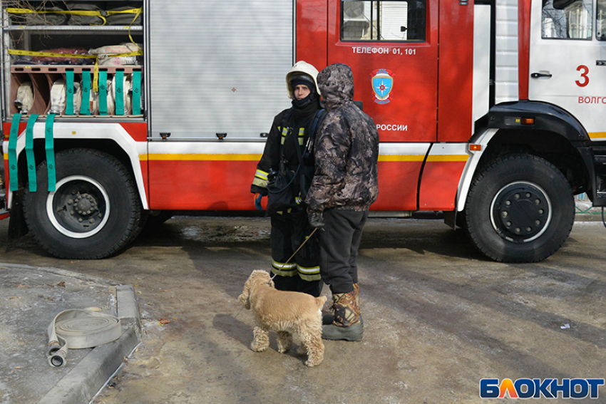 Ночью тушили пожар в спотркомплексе «Петровский» на Тулака 