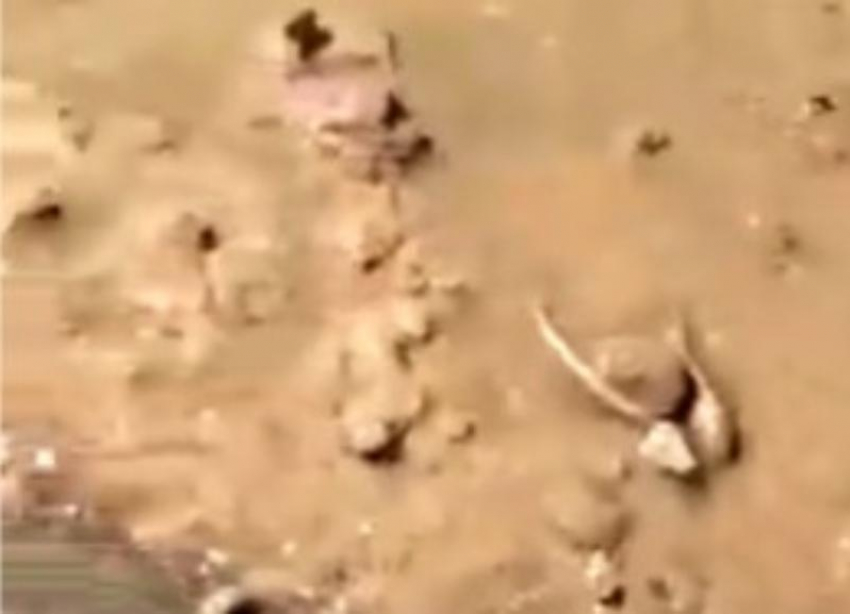 Жуткое место: рыбак из Волгоградской области наткнулся на берег, усыпанный человеческими костями 