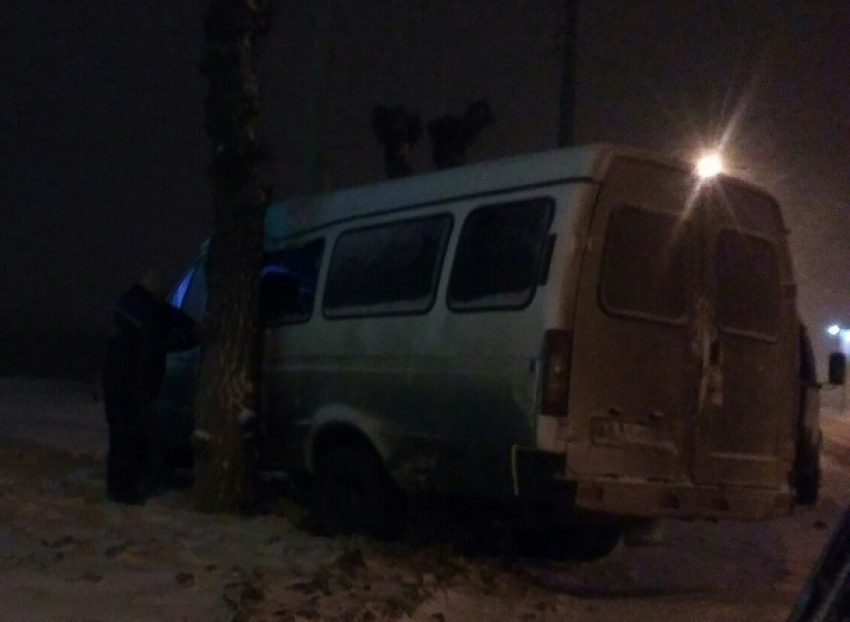 На юге Волгограда маршрутка влетела в дерево