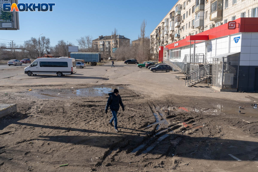 До +23 потеплеет в Волгоградской области в понедельник