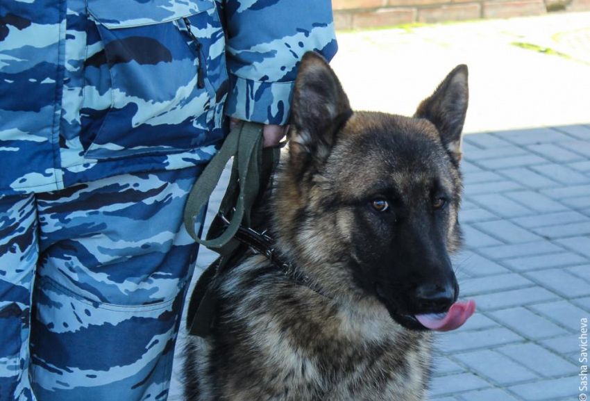 Экс-начальник отдела по контролю за оборотом наркотиков и оперуполномоченный отправились в колонию за подброшенные волгоградцу наркотики