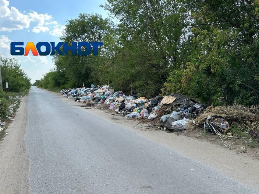 «Мы утопаем в мусоре»: помоями завалили СНТ под Волгоградом