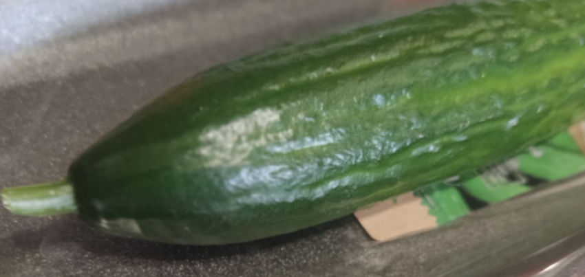 Волгоградские огурцы значительно упали в цене