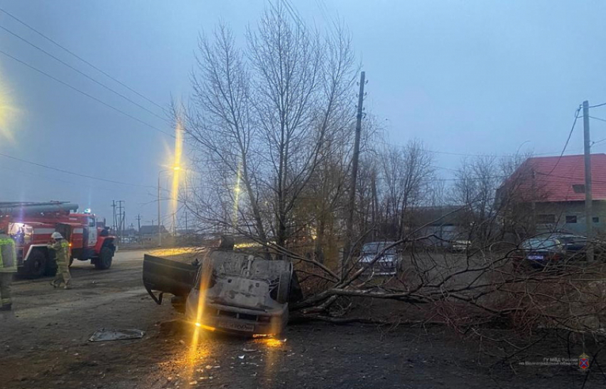 В Волгоградской области машина опрокинулась и врезалась дерево: водитель скончался