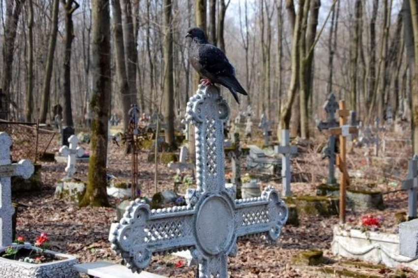 Волгоградцы смогут резервировать места на кладбище рядом с родственниками