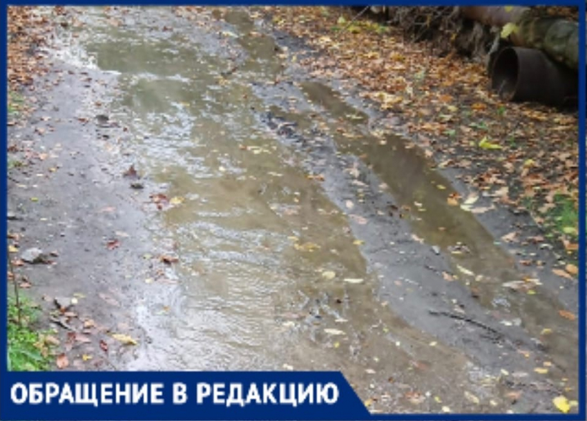 В Волгограде две недели хлыщет вода из под земли: видео бедствия