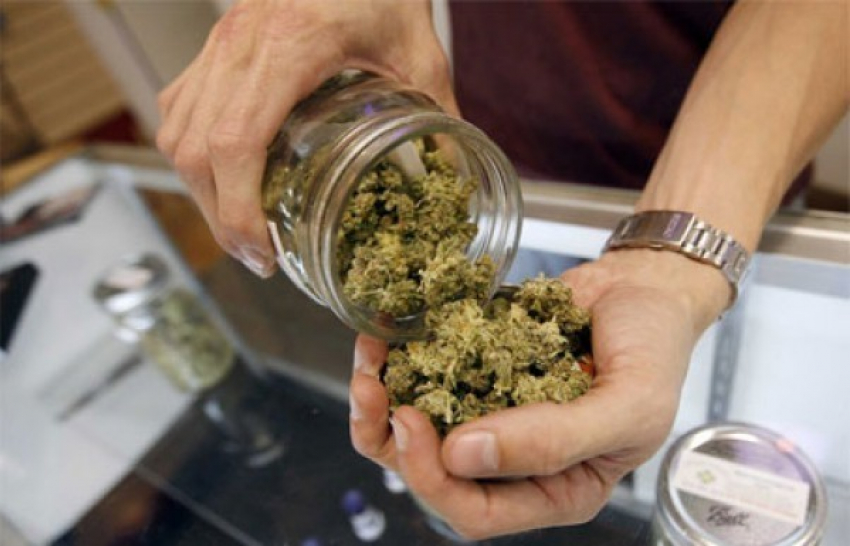 Жителя Фролово осудили на 10 лет за изготовление и попытку сбыта марихуаны 