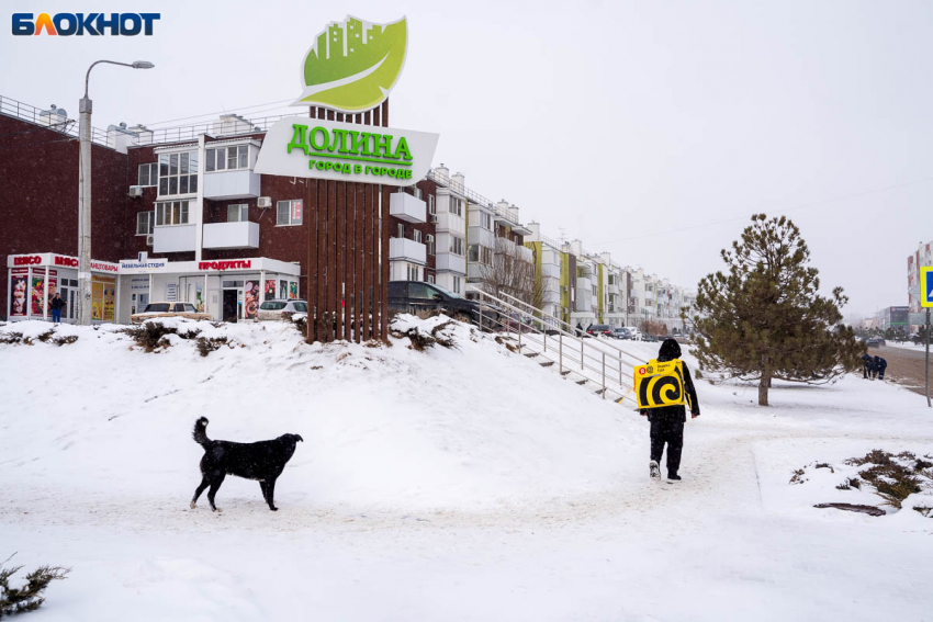 Давки в транспорте и километровые очереди: правда о жизни в «Родниковой долине»