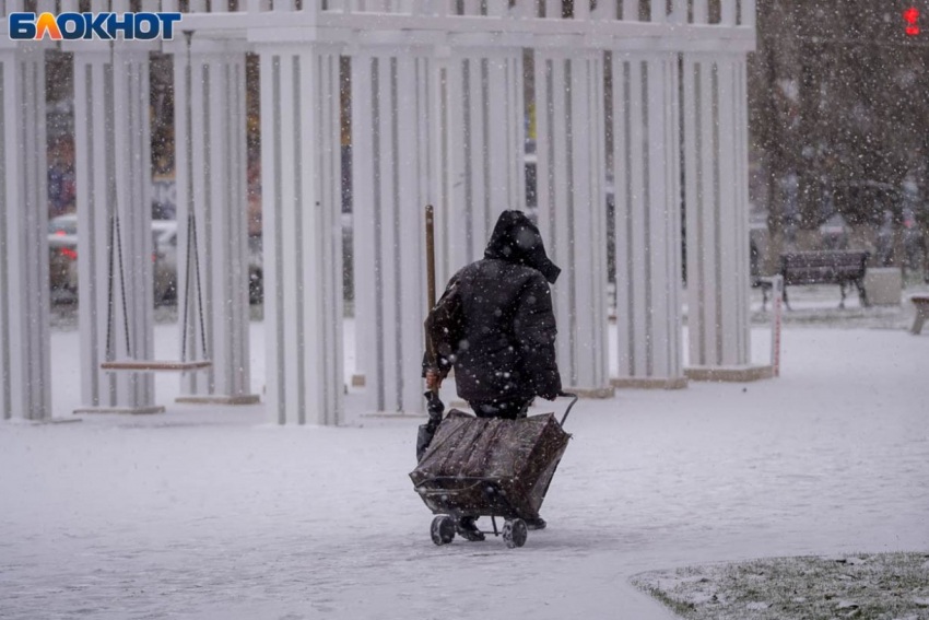 Тройную погодную опасность из-за метели и снегопада предсказали Волгограду синоптики
