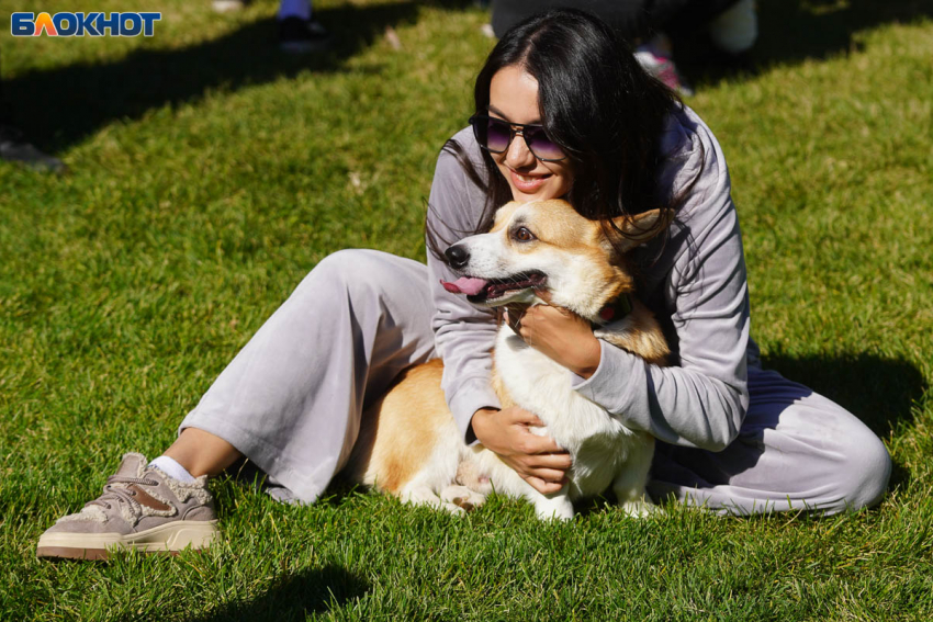 Кратковременный дождь подпортит воскресенье в Волгоградской области