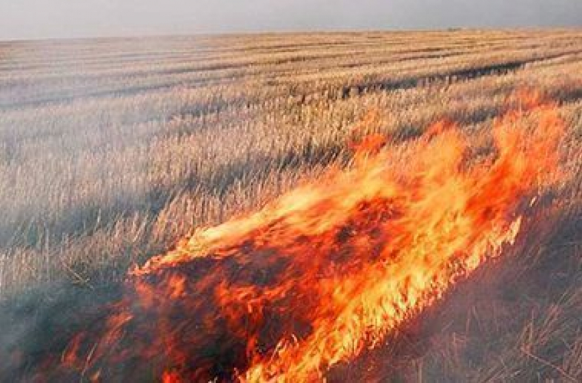 Из-за пожара в опасности оказались жители целого хутора в Волгоградской области