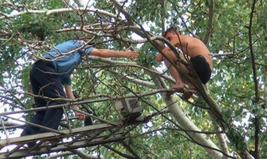 Под Волгоградом пожарные ночью сняли с дерева 37- летнего мужчину