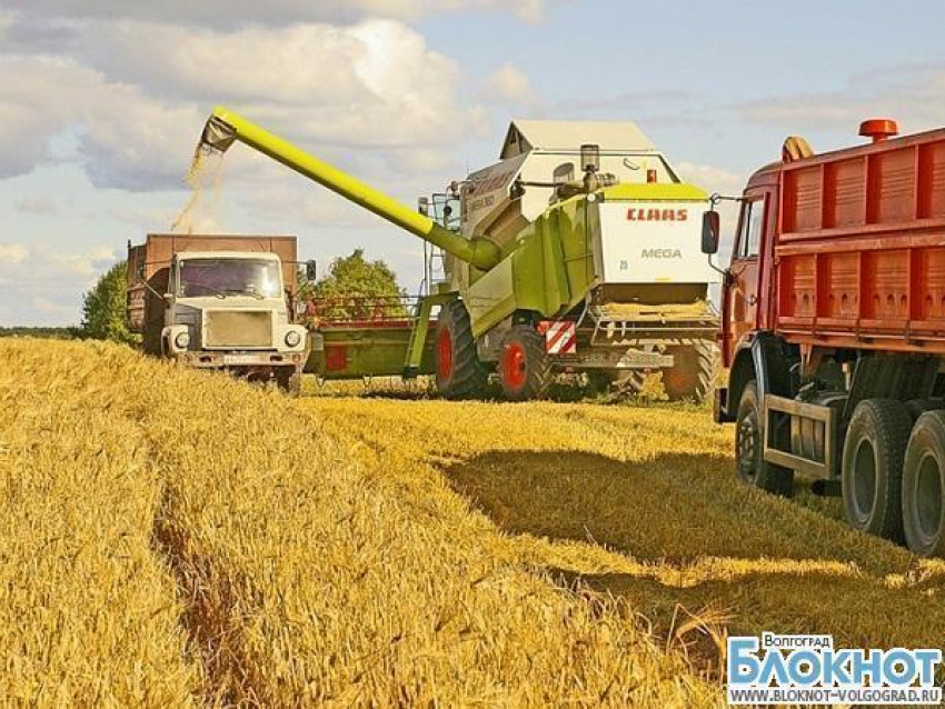 Волгоградская область увеличивает показатели по сбору урожая