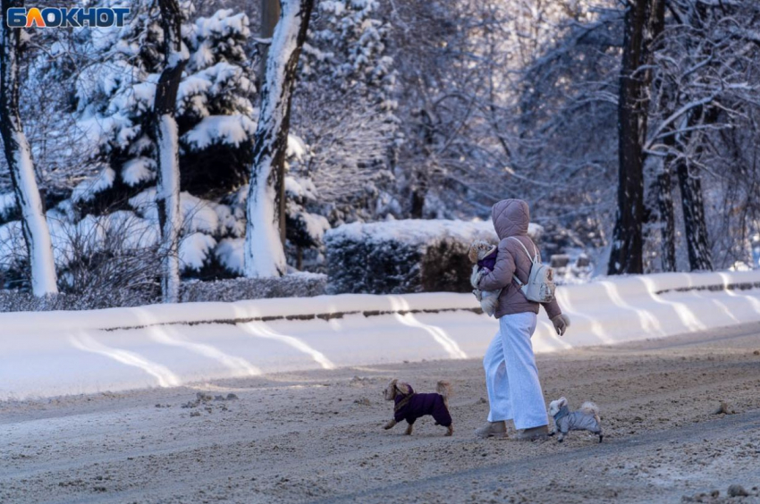 Тройную угрозу для жителей объявили синоптики в Волгоградской области