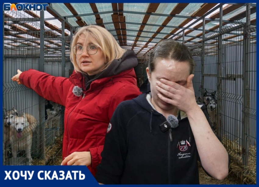 Смерть грозит почти двум тысячам животных в крупнейшем приюте Волгограда