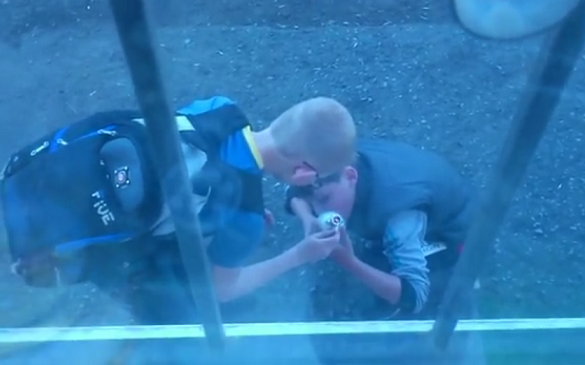 В Волжском очевидцы сняли на видео 10-летних школьников с бульбулятором