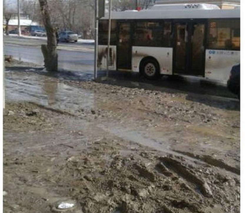 Из автобуса волгоградцы «ныряют» в жижу и грязное месиво