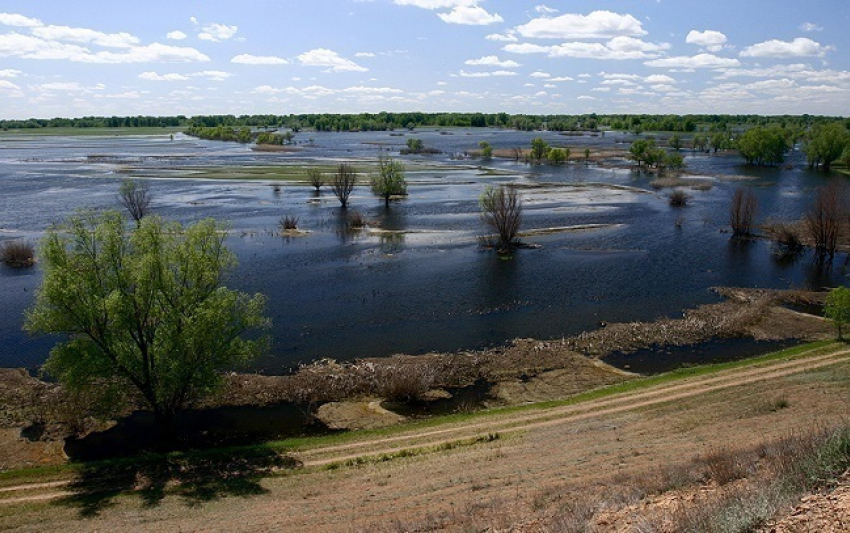 Для сохранения Волга-Ахтубинской поймы в Волгограде выделят 80 млн