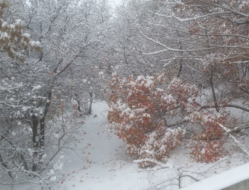 Снежный Волгоград ждут «ноль", туман и мокрые осадки