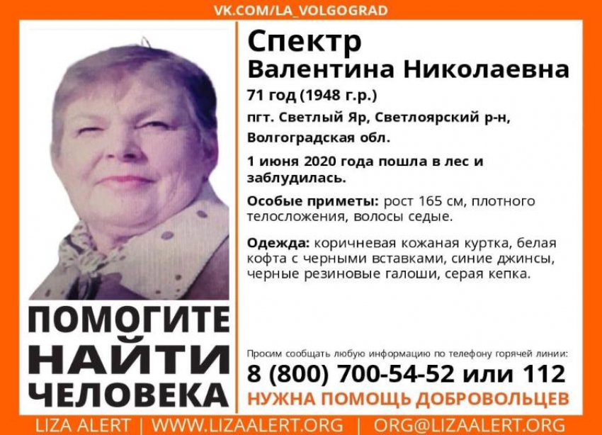 В Волгоградской области ищут 71-летнюю женщину, заблудившуюся в лесу