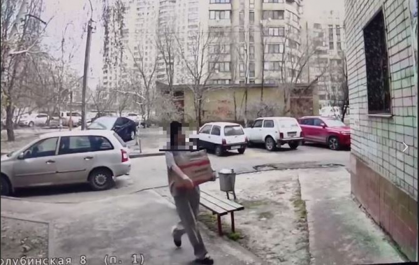 Коробку с двумя щенками подбросили к подъезду в центре Волгограда