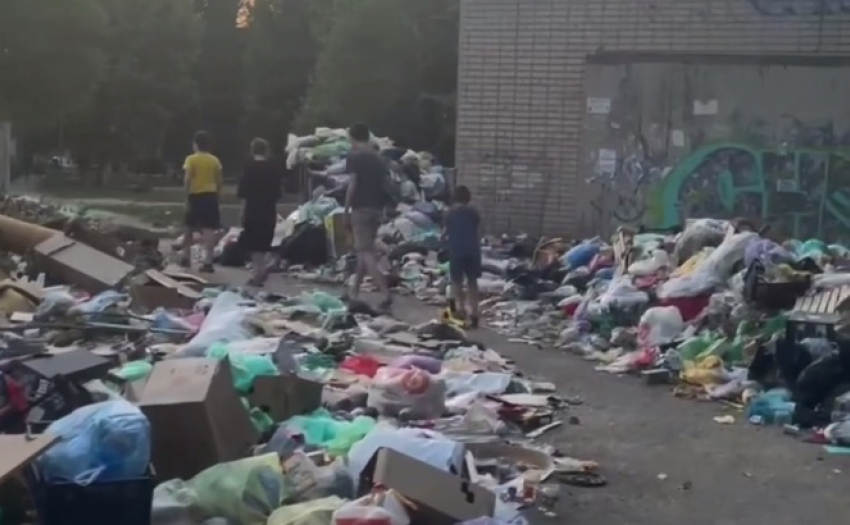 Тропу сквозь горы мусорного завала проложили волгоградцы — шок-видео 
